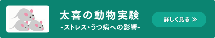 太喜のうつ病マウスモデルへの影響の実験イメージ